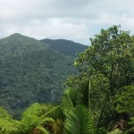 El Yunque, Puerto Rico